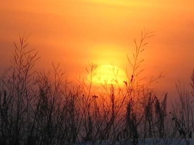 ������� �����